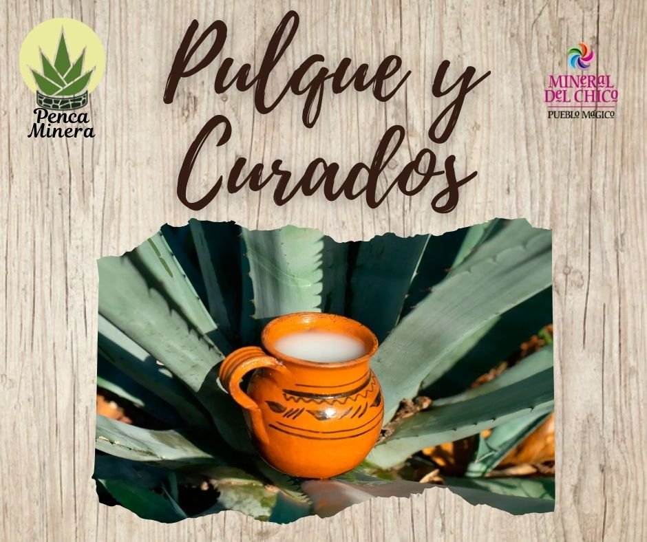 PULQUE Y CURADOS